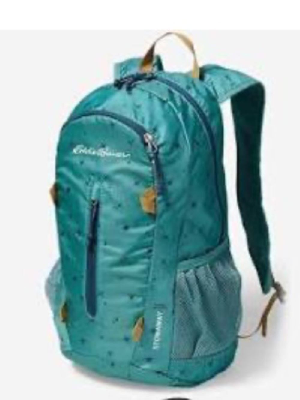 Eddie Bauer Stowaway Packable 20L Backpack in Teal Star Print